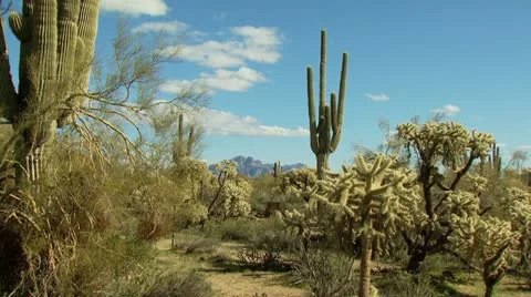 Superstition Mountains Arizona Stock Footage 11176261