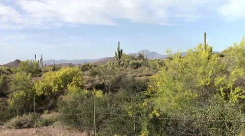 Superstition Mountains Arizona Stock Footage 49480528