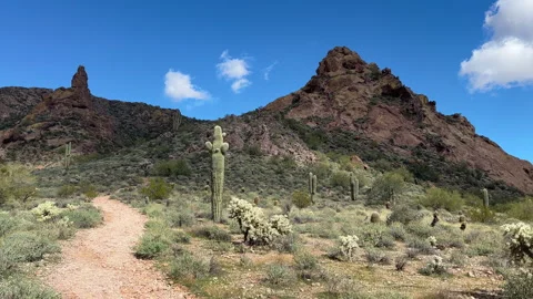 Superstition Mountains Stock Footage 337268786