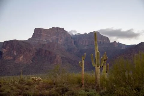 The Superstition Mountains Fotos Stock