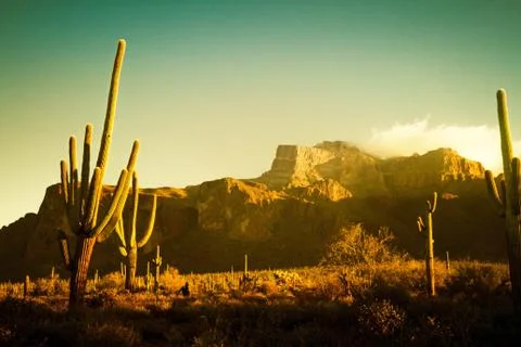 The Superstition Mountains 库存照片