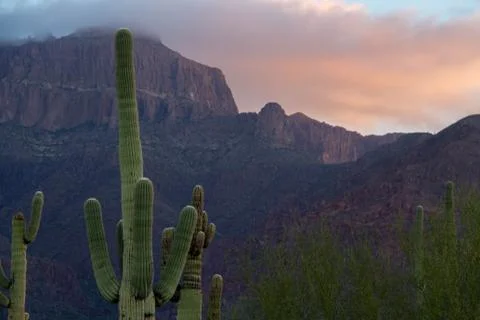 The Superstition Mountains Photos