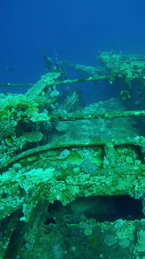Superstructures with windows on upper decks overgrown with corals of Salem Video stock 336925429