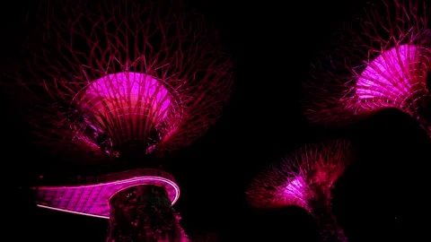 Supertree Grove at Gardens by the Bay - light and music night show in Singapore Stock Footage 343665254