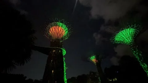 Supertree Grove at Gardens by the Bay - light and music night show in Singapore Stock Footage 343665594