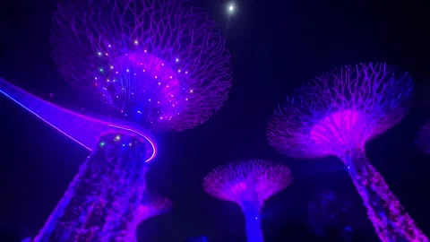 Supertree Grove at Gardens by the Bay - light and music night show in Singapore Stock Footage 343665660