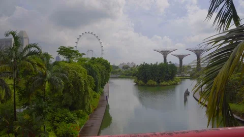 Supertree view from the Dragonfly Bridge Stock Footage 116556145