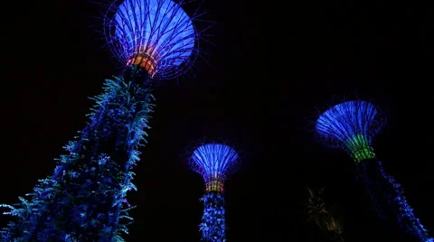 Supertrees in 4k Slow Pan Stock Footage 40772267