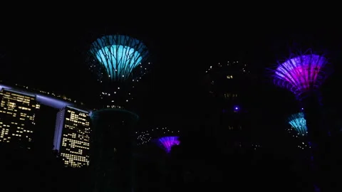 The Supertrees being illuminated for a light show at night in the Gardens by Stock Footage 302525968