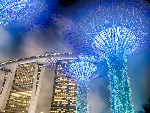 Supertrees Bloom At Night Stock Photos