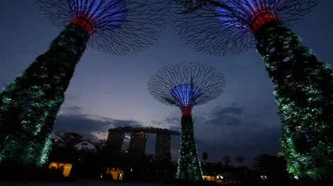 Supertrees Garden by the Bay Stock Footage 40772308