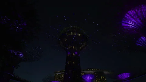 The Supertrees at night Stock Footage 218474640