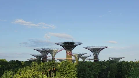 Supertrees &amp; OCBC Skyway Stock Footage 194812586