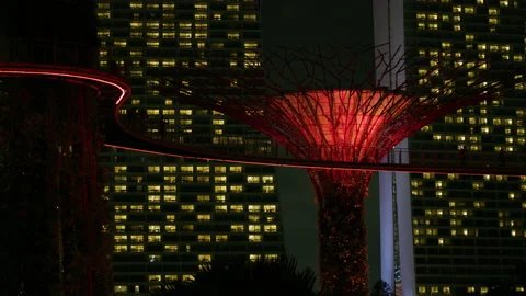 The Supertrees with OCBC Skyway, at night Stock Footage 218559840