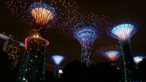 Supertrees Time Lapse Stock Footage 107075359