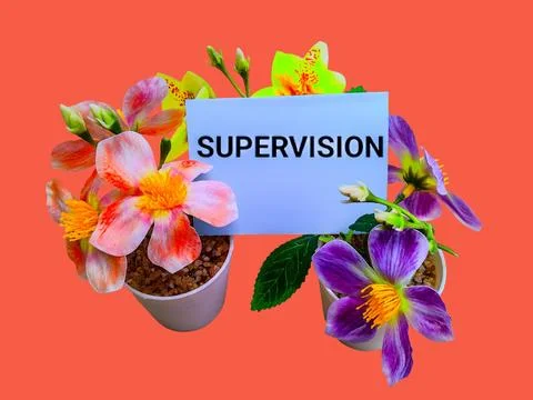 Supervision concept with artificial flower trees and words Stock-Fotos