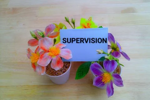 Supervision concept  Stock-Fotos