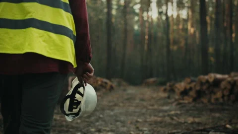 The supervisor is active at the logging site coordinating the process of cut Stock Footage 272145982