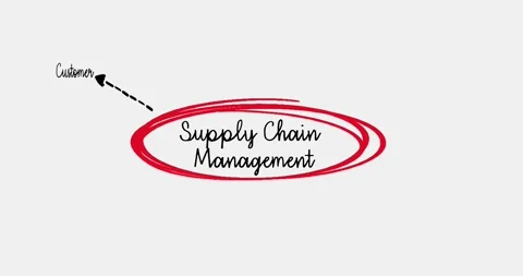 Supply Chain Diagram Representing Key Elements and Processes in Business Operati Stock Footage 311877514