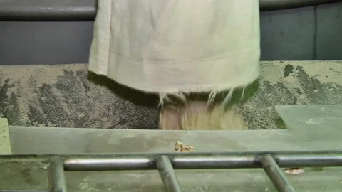 Supply extruded wheat crusher Stock Footage 85668502