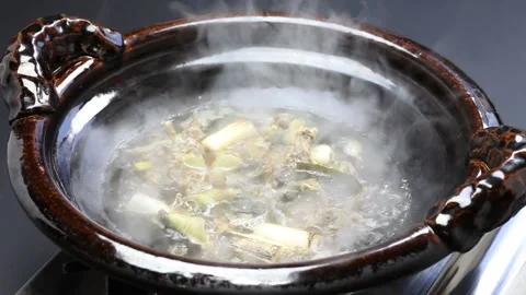 Suppon nabe, japanese softshell turtle hot pot stew Vídeos de archivo 155217419