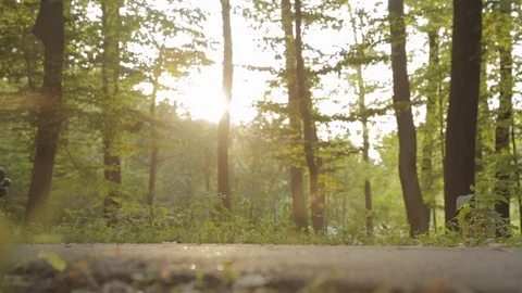 Support and care Stock Footage 119596536