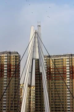 Support of the bridge Stock Photos