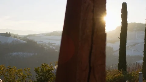 Support columns in vineyard on a sunny day Stock-Footage 102209181