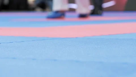 Support on Karate Tatami Stock Footage 302978653