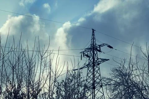 Support or tower power lines against the dark sky and tree branches. Stock-Fotos