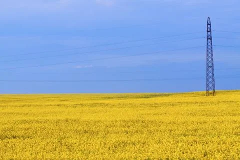 Support power lines in field Stock Photos