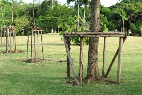 Supported the tree Stock Photos