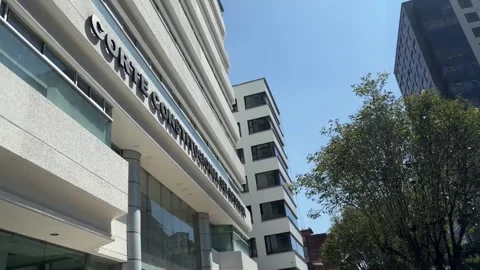 Supporters of Noboa recall bid ask Constitutional Court to activate process, Qui Stock Footage 346180435