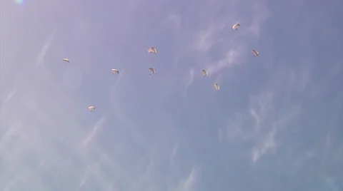 Supporting D-Day Anniversary parachuting from C-130 Hercules Stock Footage 39778056