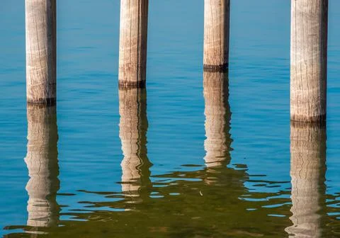 Supporting pillars in lake Murtensee Stock Photos