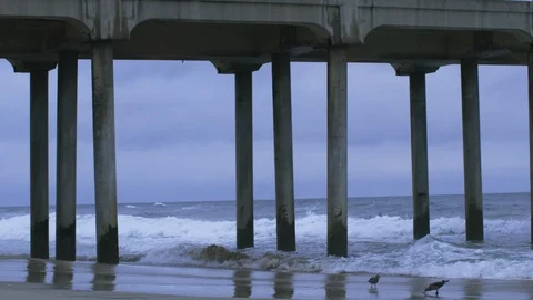 Supporting pillars under the pier at beach Stock Footage 108901853