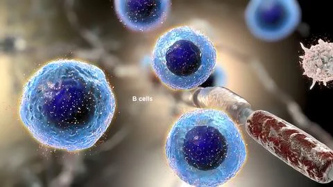 Supportive tissue of the nervous system. Neuron structure. Neuron, astrocyte  Stock Illustration