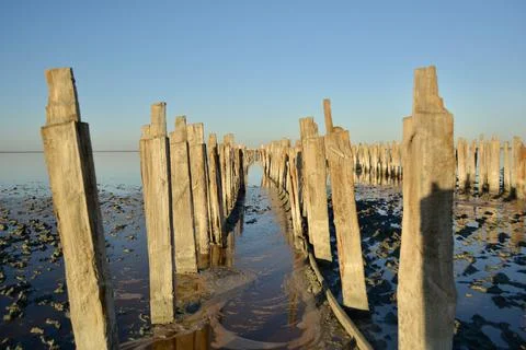 Supports of the old pier Stock Photos