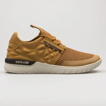 Supra Flow Run Evo 2 khaki sneaker 스톡 사진