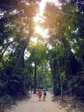 Supreb view of a path through forest Stock Photos