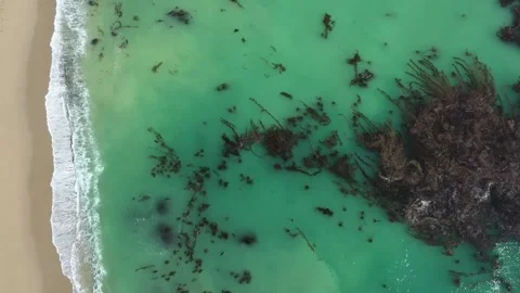 Sur Side Coast No.1 Stock Footage 169127699