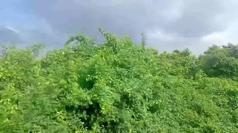 Surabaya East Java Indonesia. Train Journey: Departing. On June 17 2025 Stock Footage 313256293