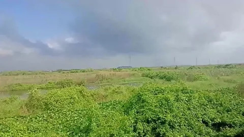 Surabaya East Java Indonesia. Train Journey: Departing. On June 17 2025 Stock Footage 313256303