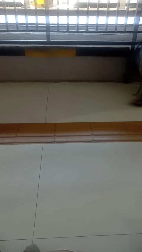 Surabaya East Java Indonesia. Train Journey: Departing. On June 17 2025 Stock Footage 313256733