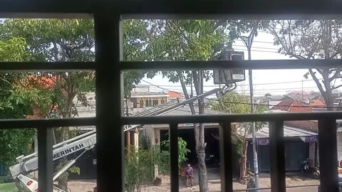 Surabaya East Java Indonesia.  Tree pruning in urban areas. On November 1 2024 Vídeos de archivo 296083766