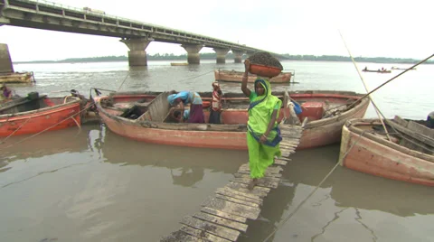 Surat 8 Video stock 39562942