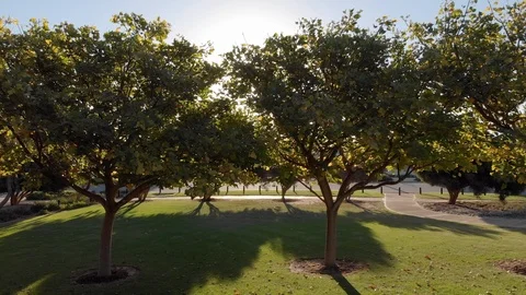 Surburban landscape Stock Footage 93446355