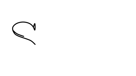 Sure Animated Handwriting Text in Serif Fonts and Weights 库存影片 113924287
