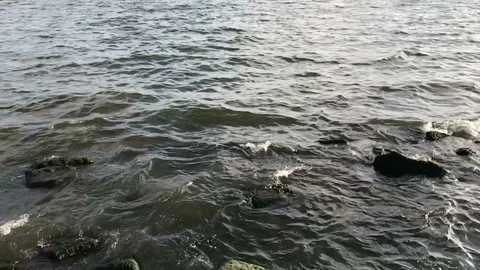 Surf 2 動画素材 86795646