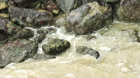 Surf along the shoreline Stock Footage 345447680